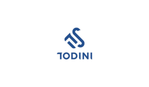 todini